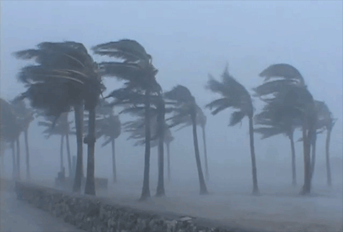 Hurricane Irma brings tragedy and chaos. Time for Trump in invest in infrastructure – not walls.